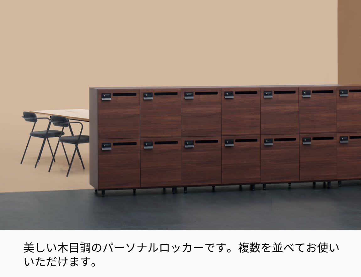 FLEX PRIVATE LOCKER ポスト口 コンセント有り