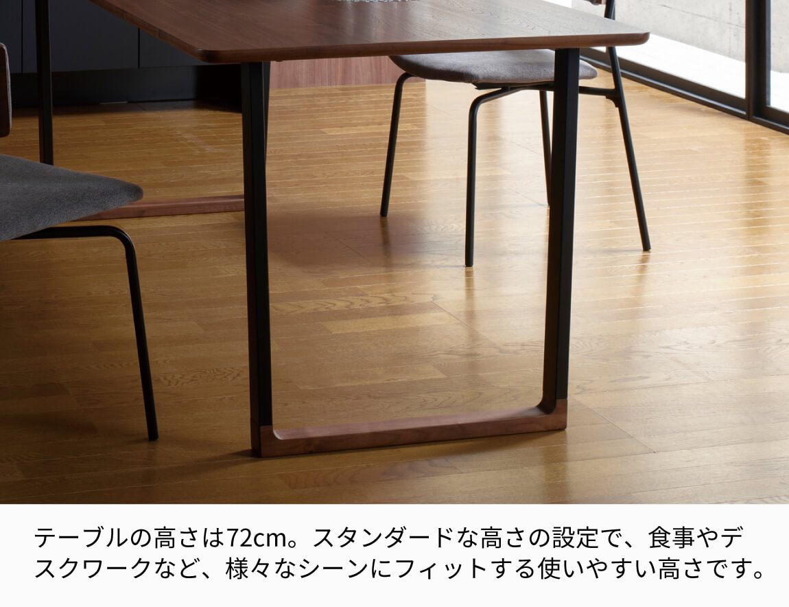 IKA ダイニングテーブル 天板突板/アイアン脚